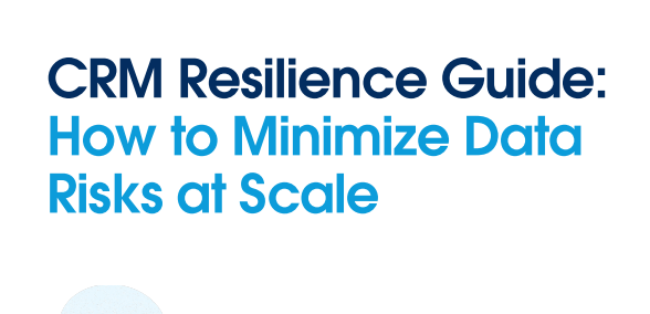 CRM Resilience Guide: How to Minimize Data Risks at Scale